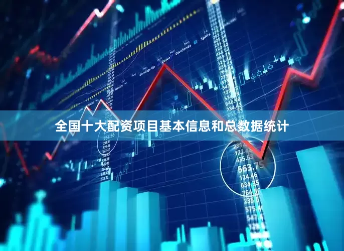 全国十大配资项目基本信息和总数据统计