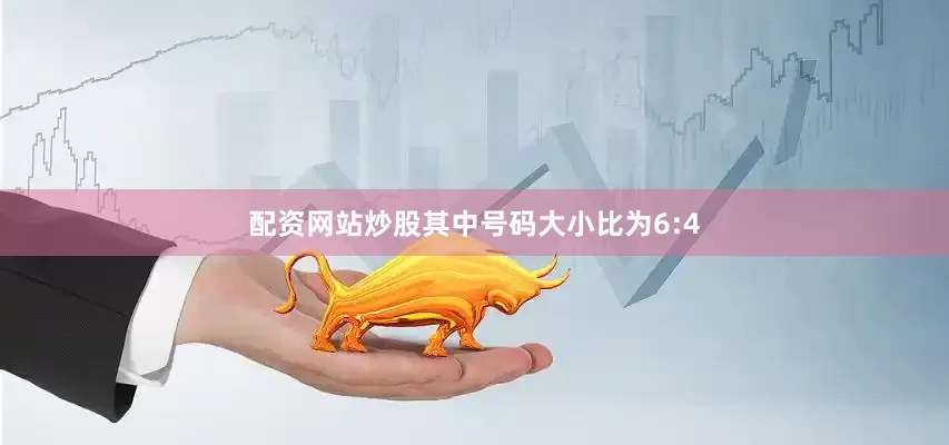 配资网站炒股其中号码大小比为6:4