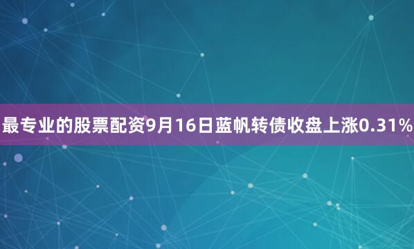 最专业的股票配资9月16日蓝帆转债收盘上涨0.31%